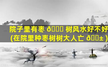 院子里有枣 💐 树风水好不好(在院里种枣树树大人亡 🐱 )